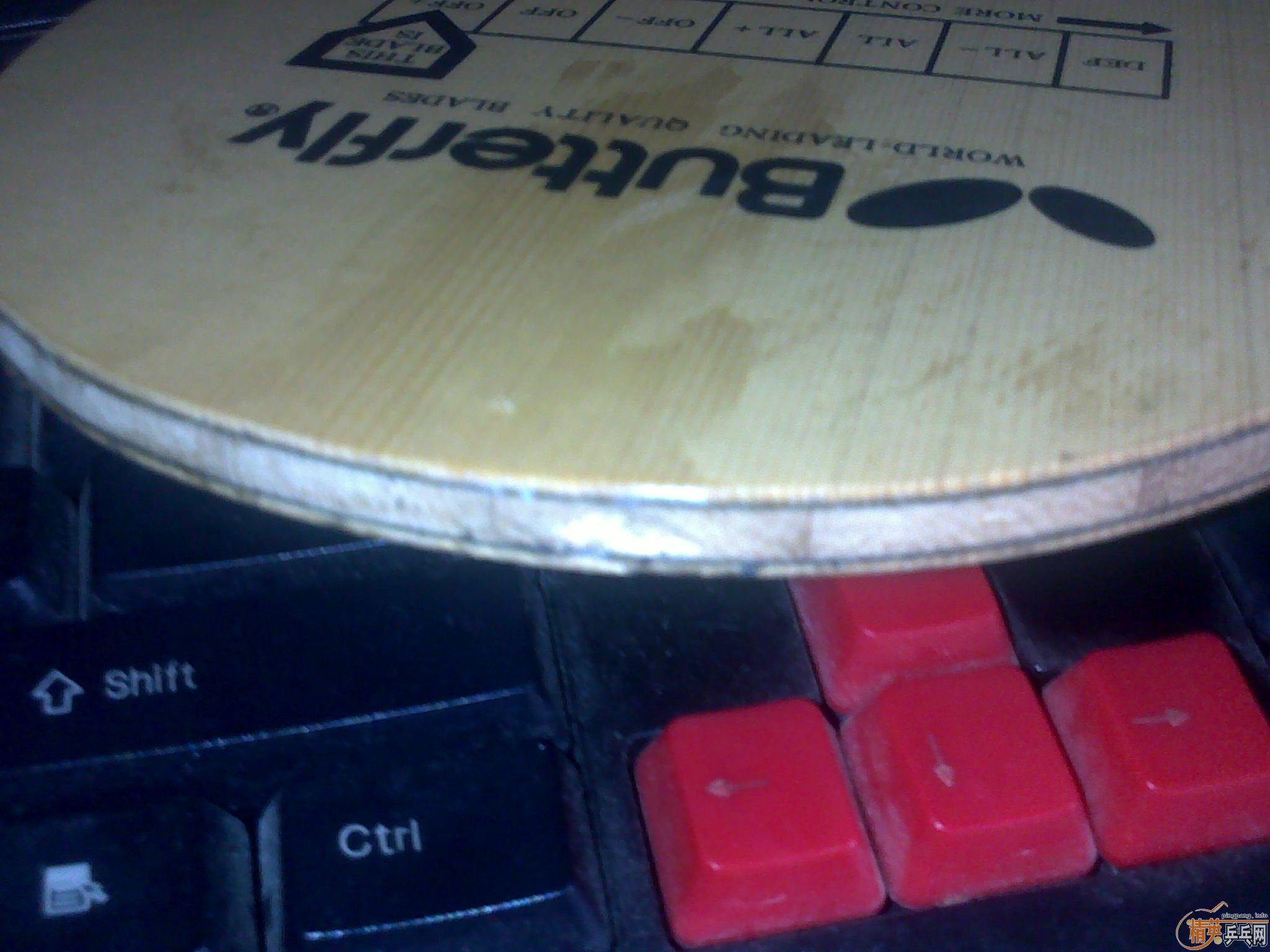 ֹ�ճ���Ʒ 95��������������̼