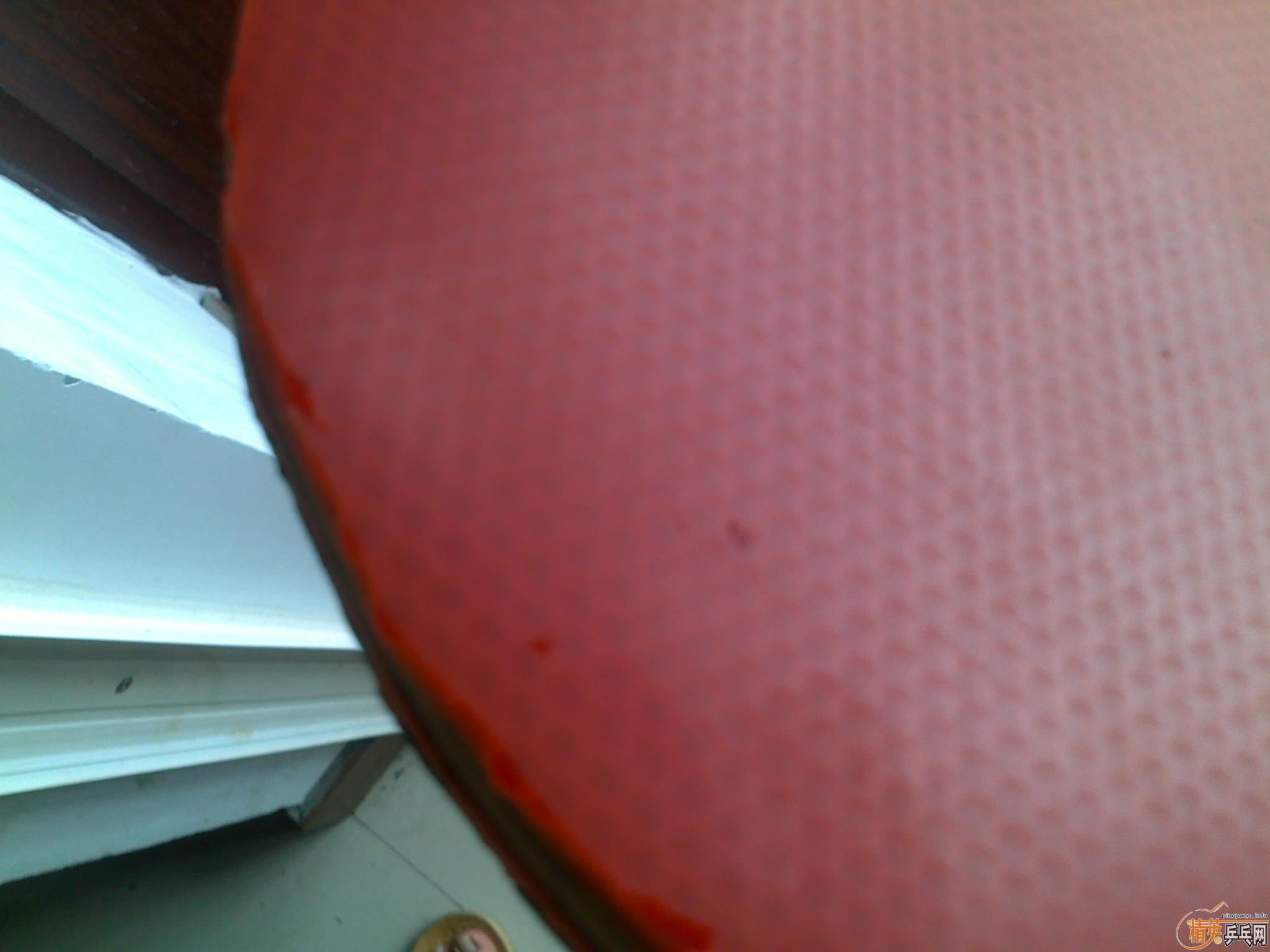 ��ֹ�ճ���Ʒ��--���������ƴ�����--88��