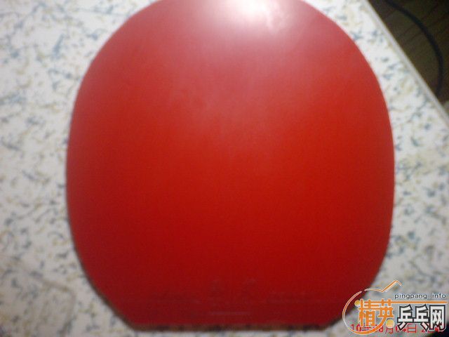 ��9�³Ⱥ��ຣ��������9.5�¿��