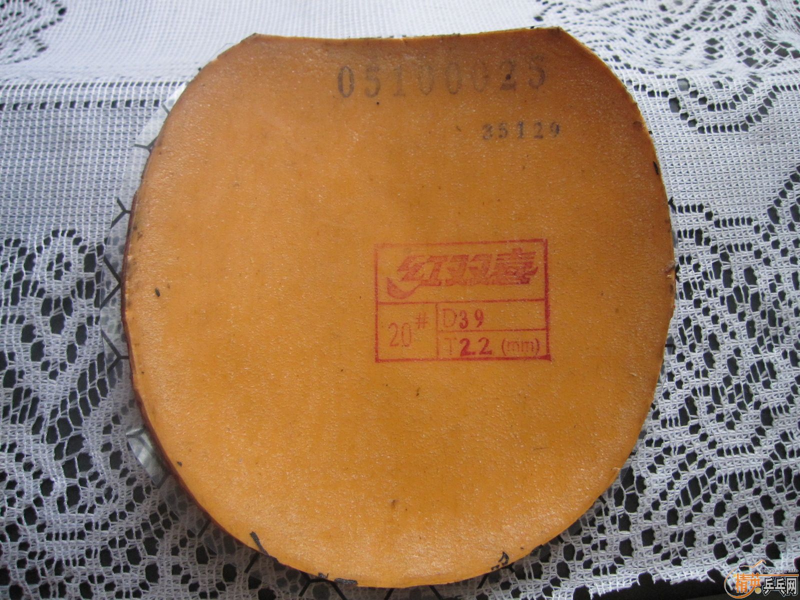 ׽ʡտ 