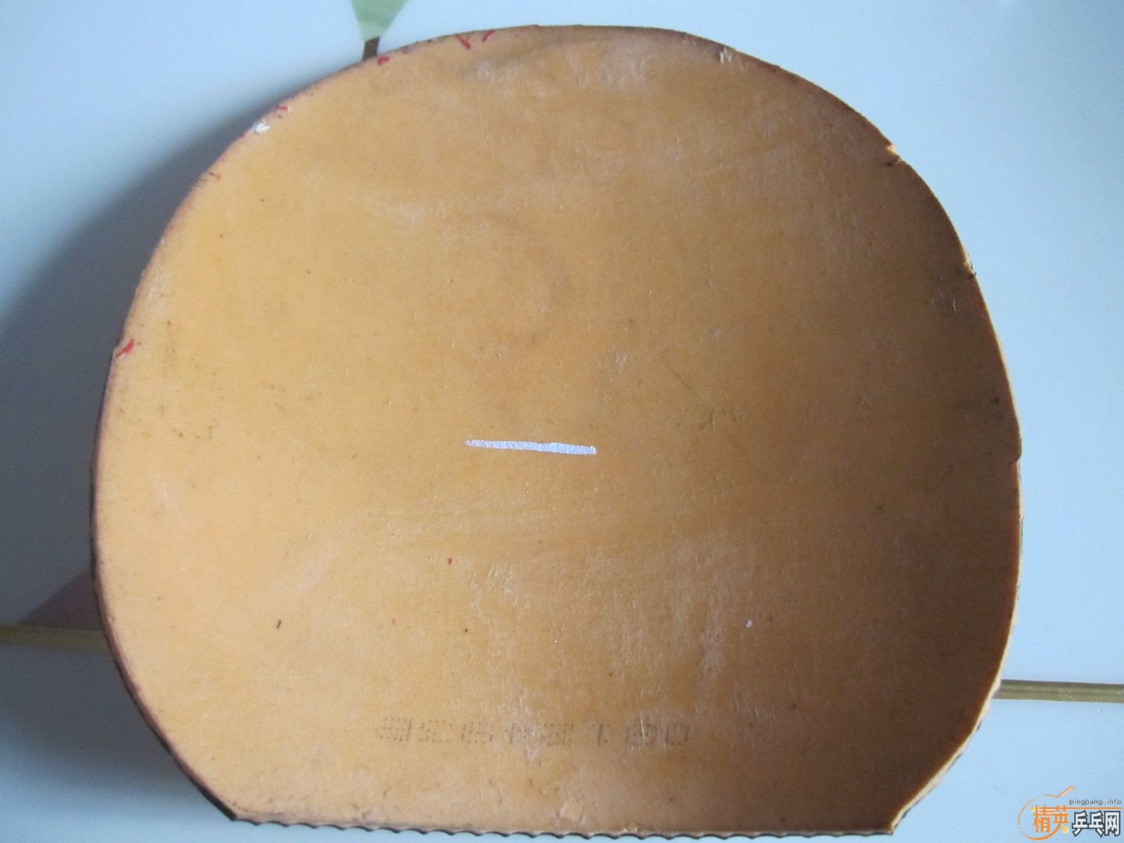 ׽ʡտ 