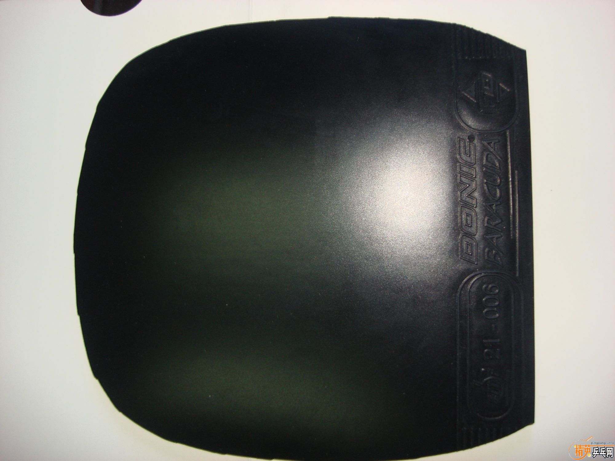 �ͼ۳����µĶ������ֱ���棡������