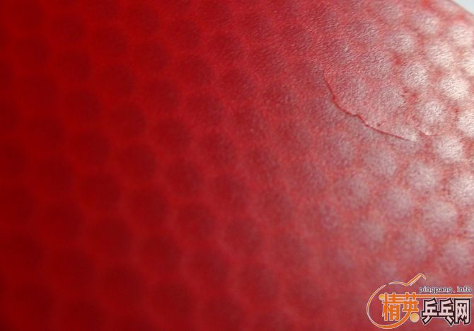 (ȫ���ѱ�Ԥ��)VIS FL(������) BOLL ALC ST����NEOʡ��3����T05��֧��֧������