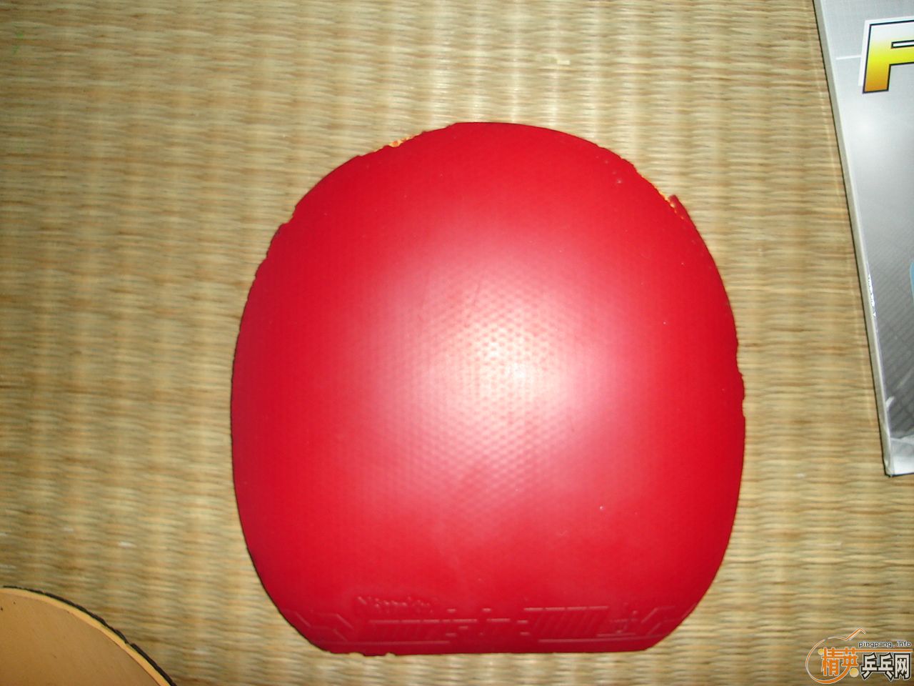 ������Ƥ�������������