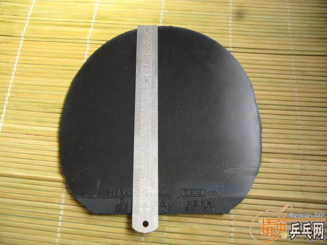 �Żݳ����ʵ�ù���~~~~~