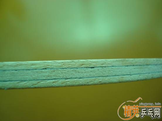 ֱ�ĺ᲻��Ӧ�������壺��������СϼFL��������С��ST������OC��FL��