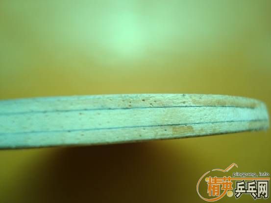 ֱ�ĺ᲻��Ӧ�������壺��������СϼFL��������С��ST������OC��FL��