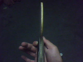 Ϊ����������л�˹�ٿ���������A��170���� B��95����