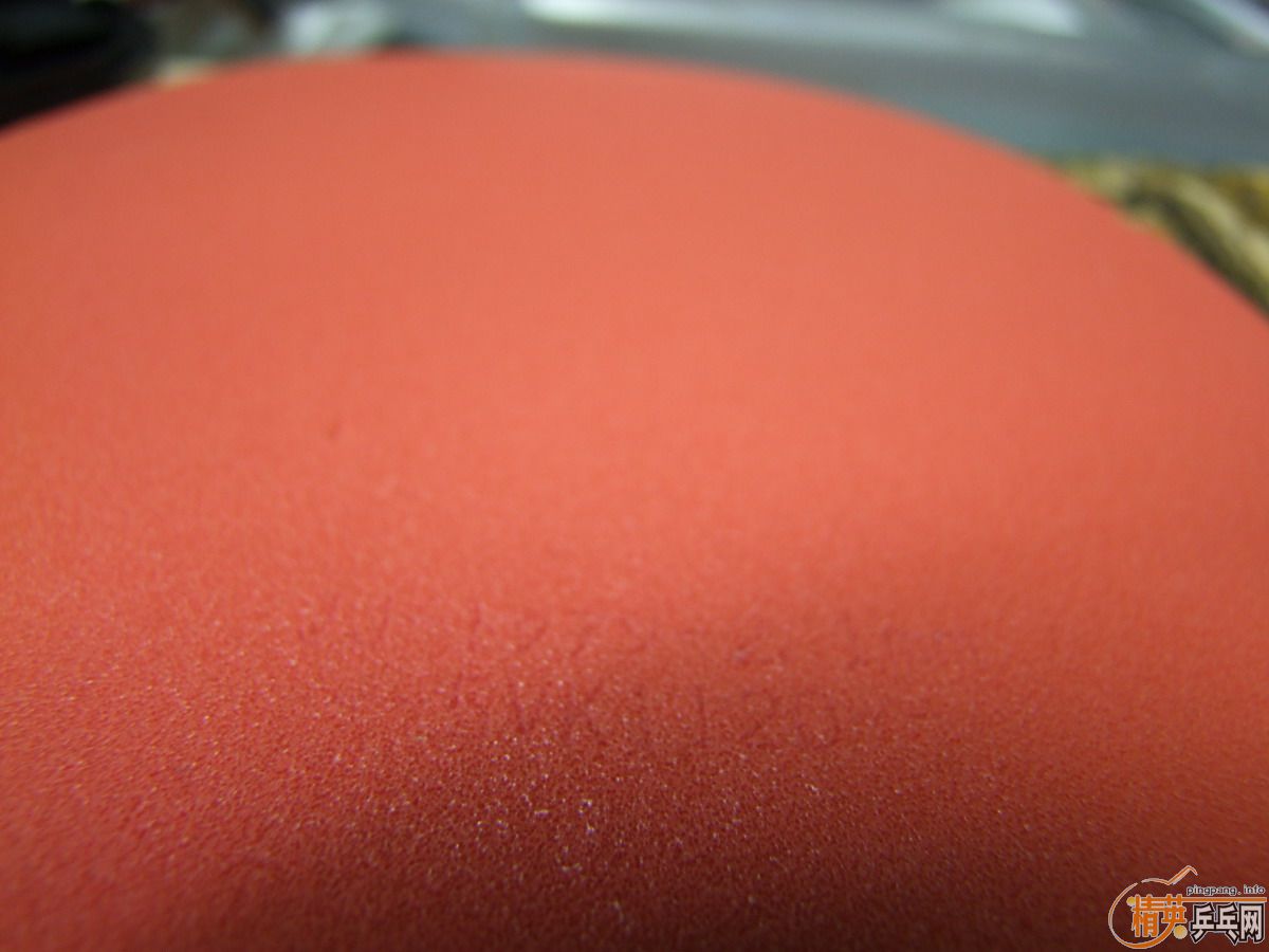 T05 ��ɫ ���� �и�ӡ 200����