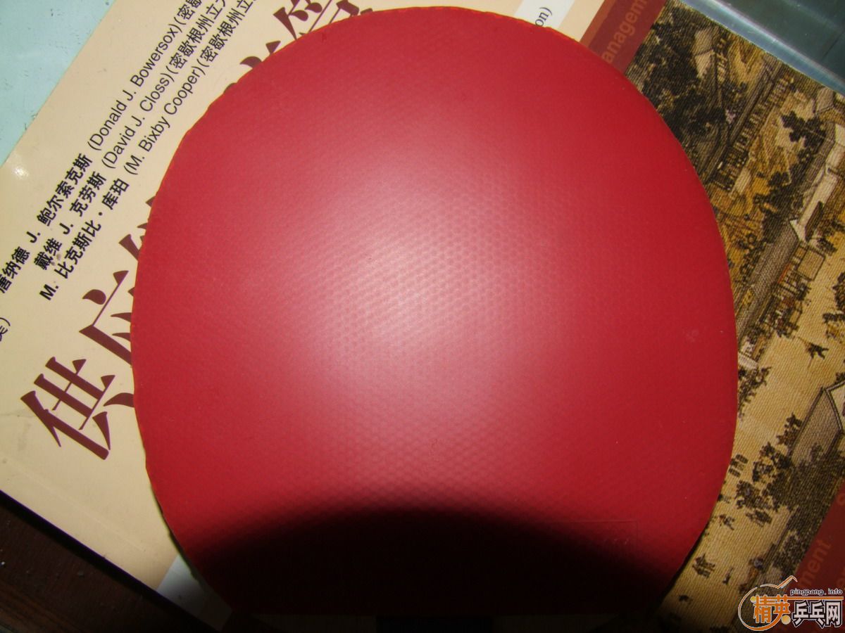 T05 ��ɫ ���� �и�ӡ 200����