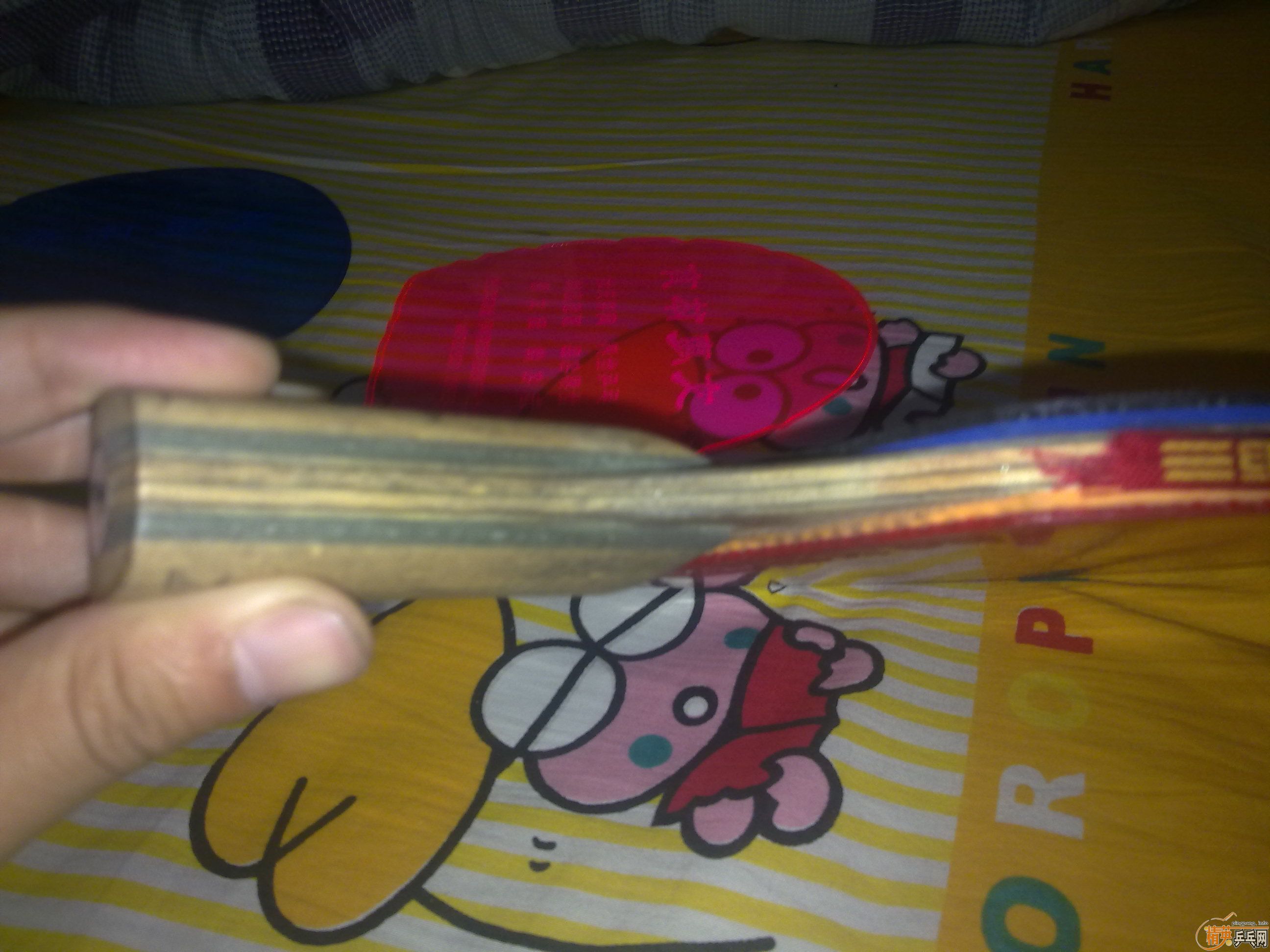 ۭ��ͥ�����