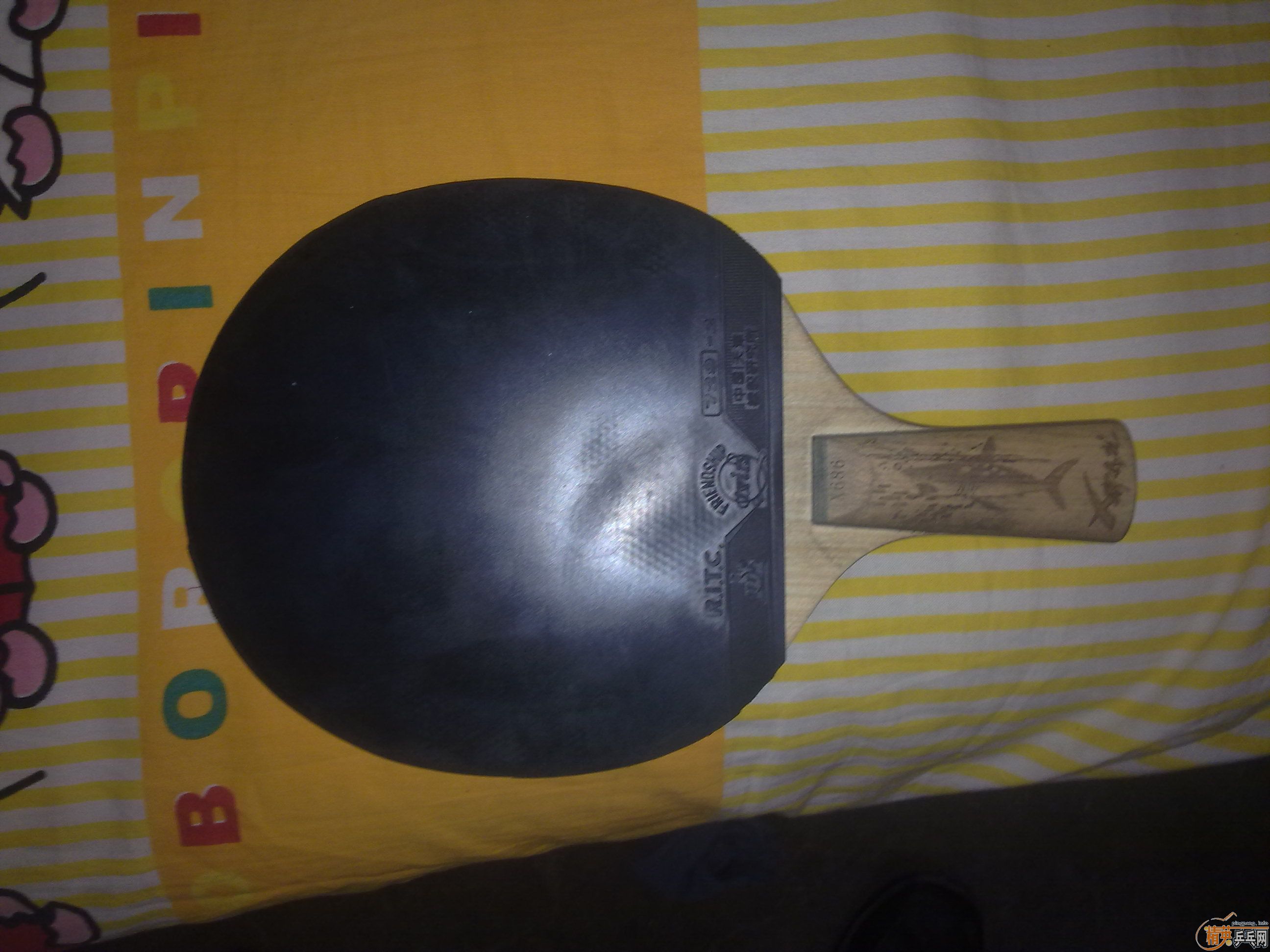 ۭ��ͥ�����