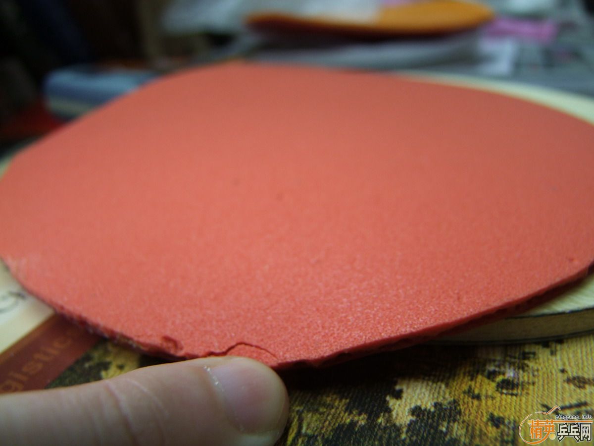 T05 ��ɫ ���� �и�ӡ 200����