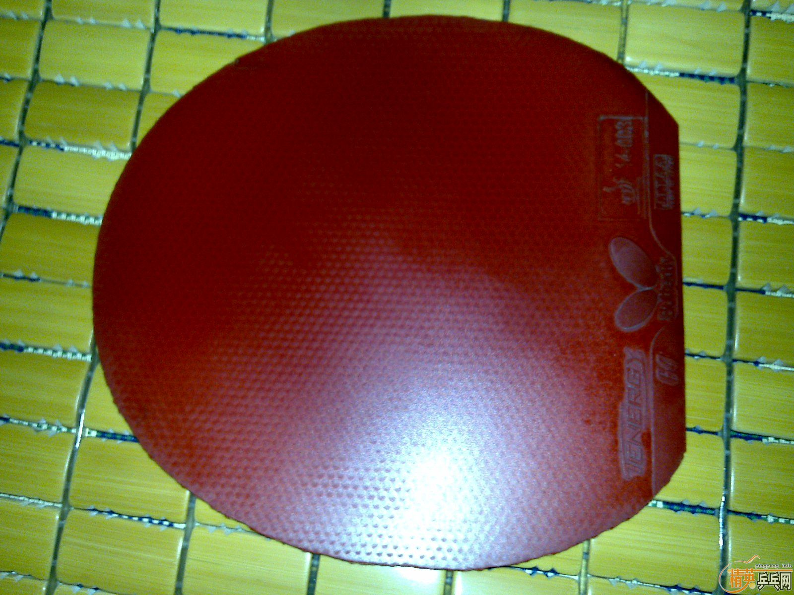 ����ɫT64 ��ɫ����