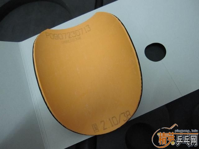 ~~~~~~������ֺŽ�Ƥ~~~~