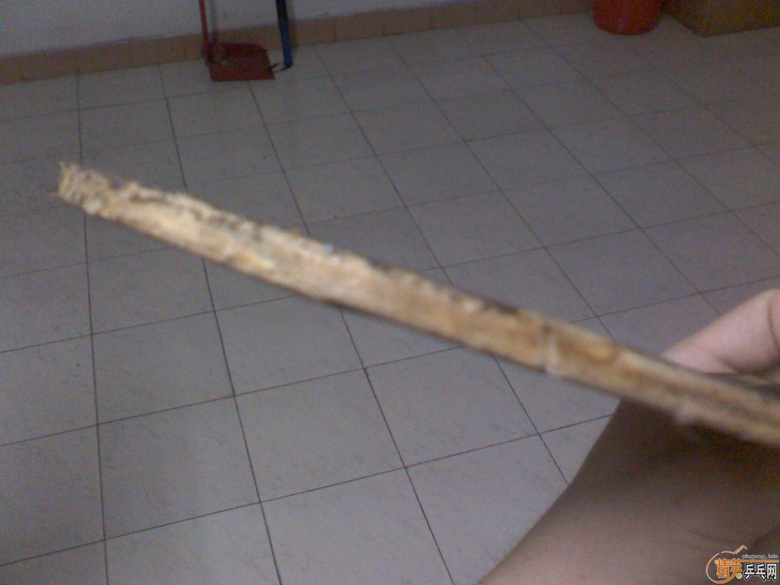 [�Ƽ�]���ײ���  ���۶���˰�ǡ��� ���ָе���