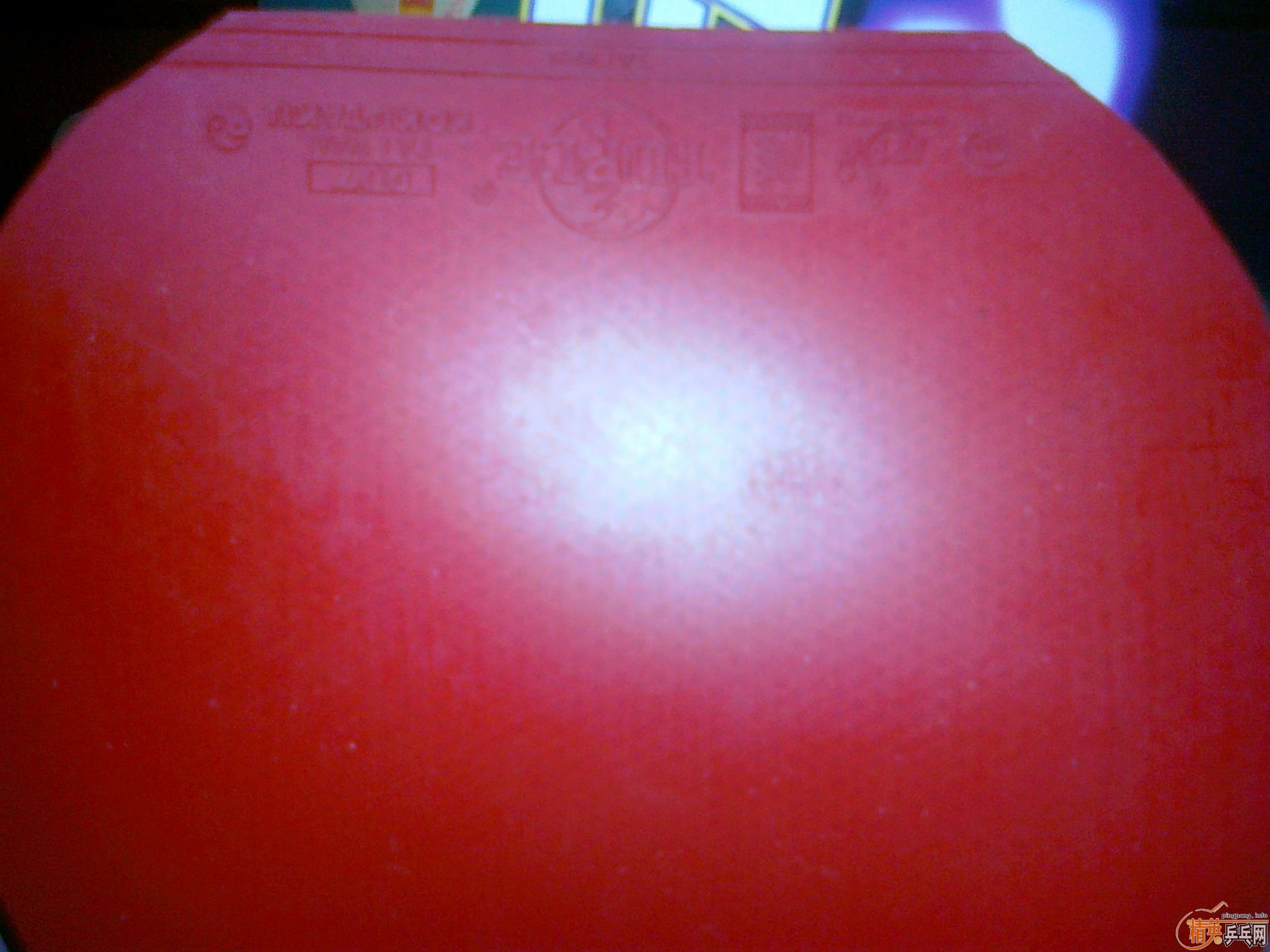 ��9.5������K5���+�����F1��+����˹����EL��+�����BARACUDA��+������007���ܺ죡ȫ9�£�