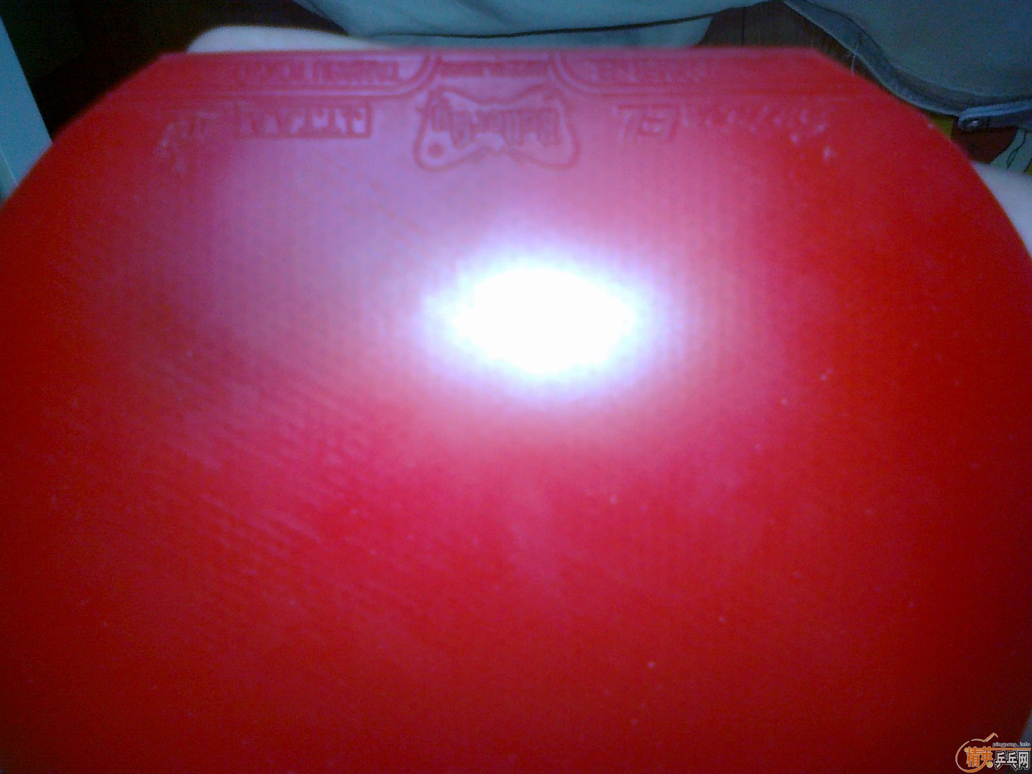 ��9.5������K5���+�����F1��+����˹����EL��+�����BARACUDA��+������007���ܺ죡ȫ9�£�