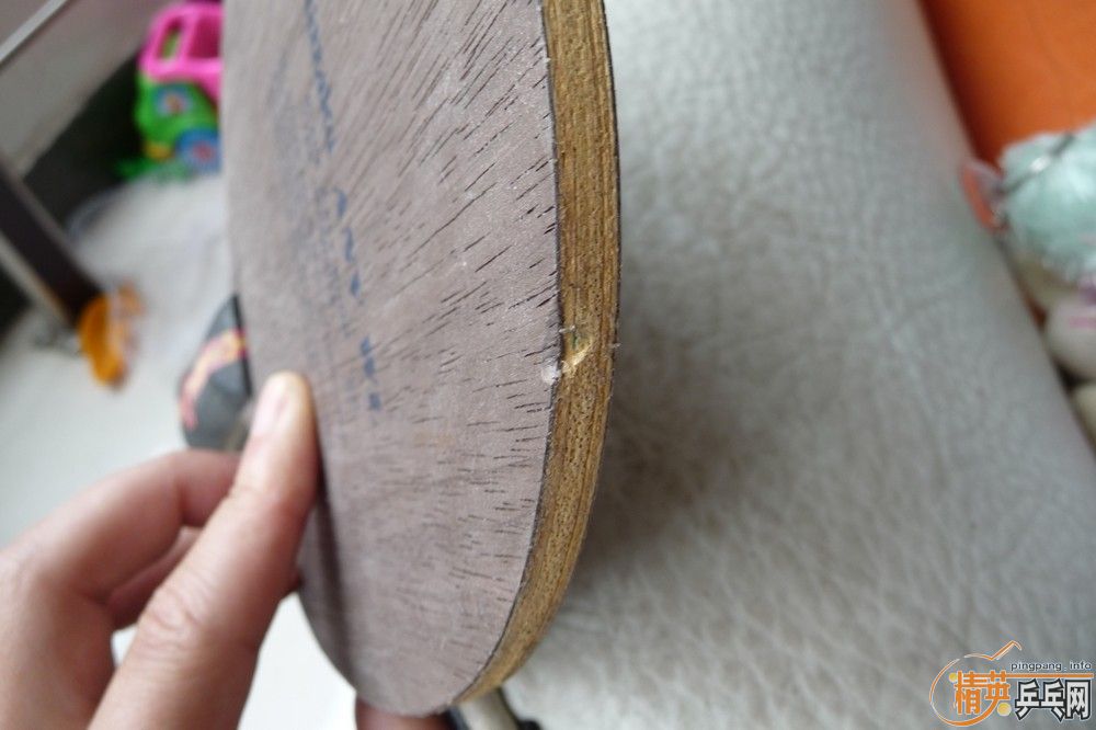 ֧������ANV WL�������