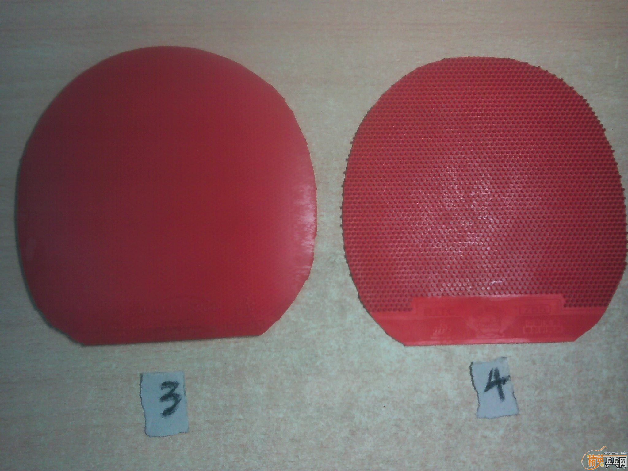 ����������׽�