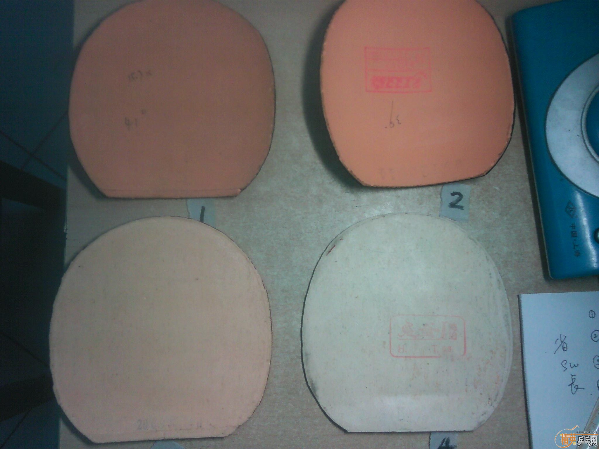 ����������׽�