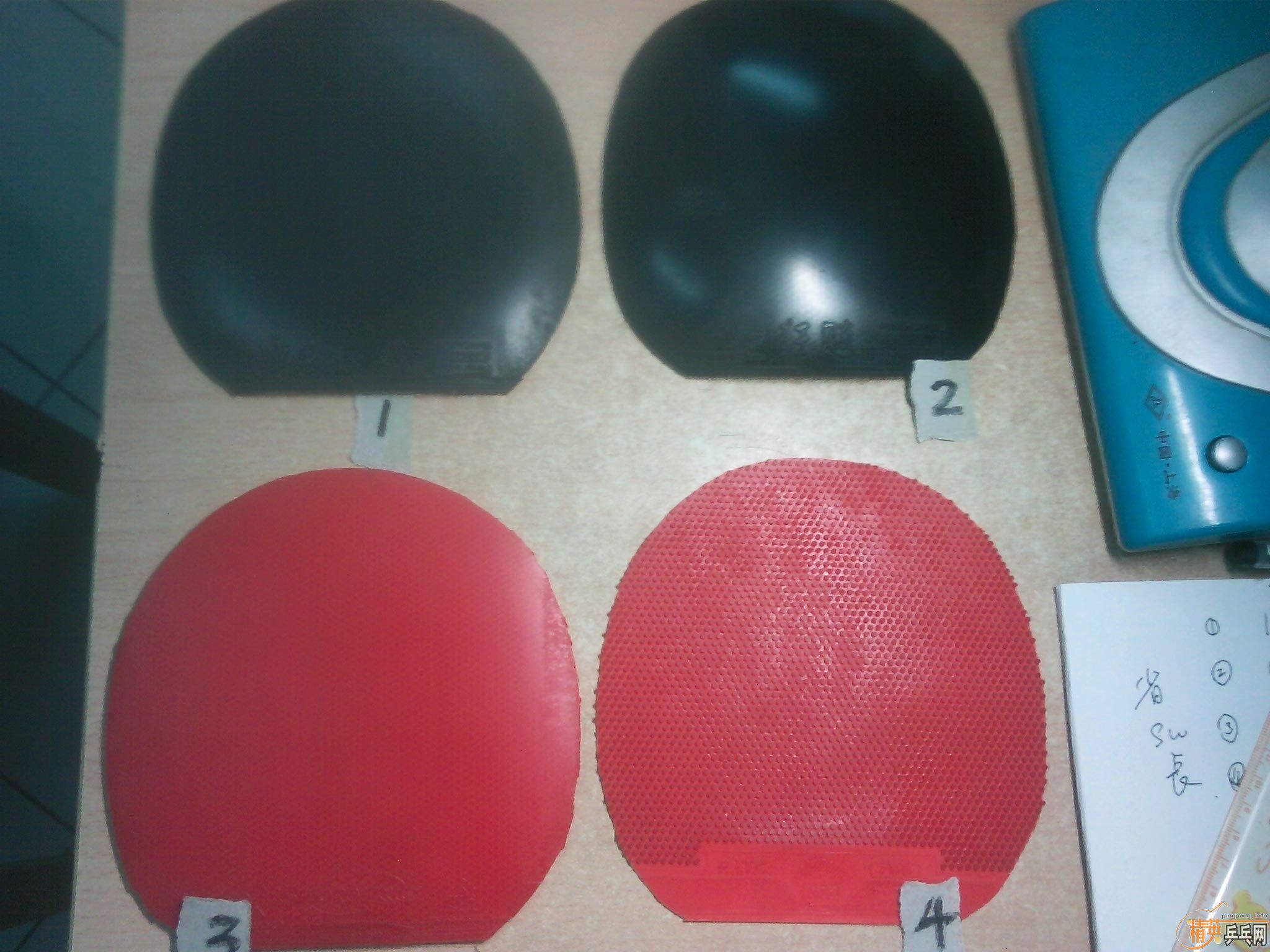 ����������׽�