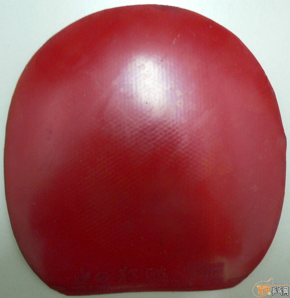 תstiga ŷ�� cl an��«�ֱ� ����