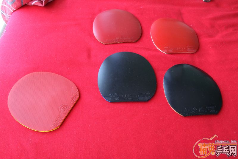 ��С����FL���Ը�÷��ST