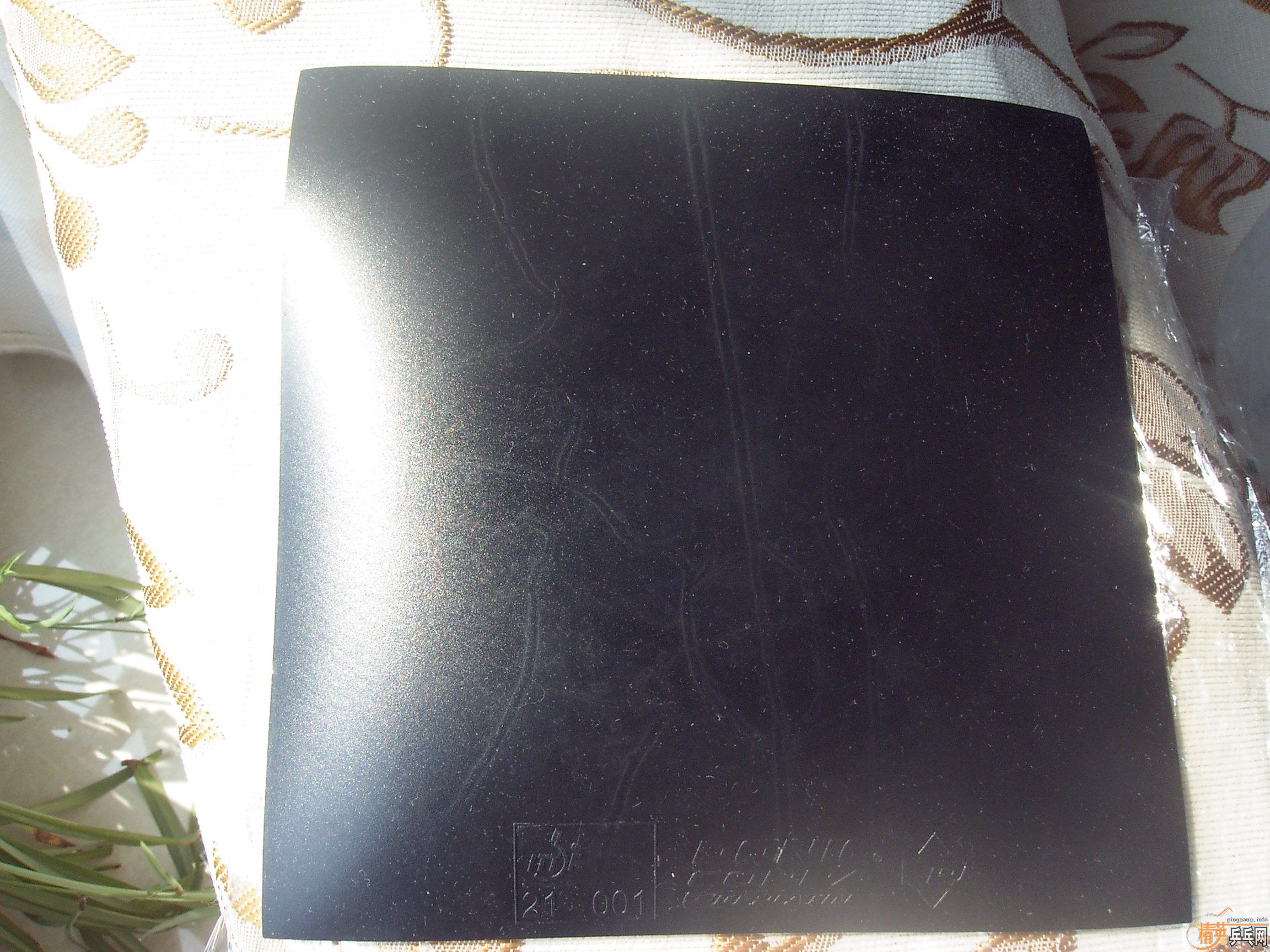 ��Ұ�æ������������׽������  лл