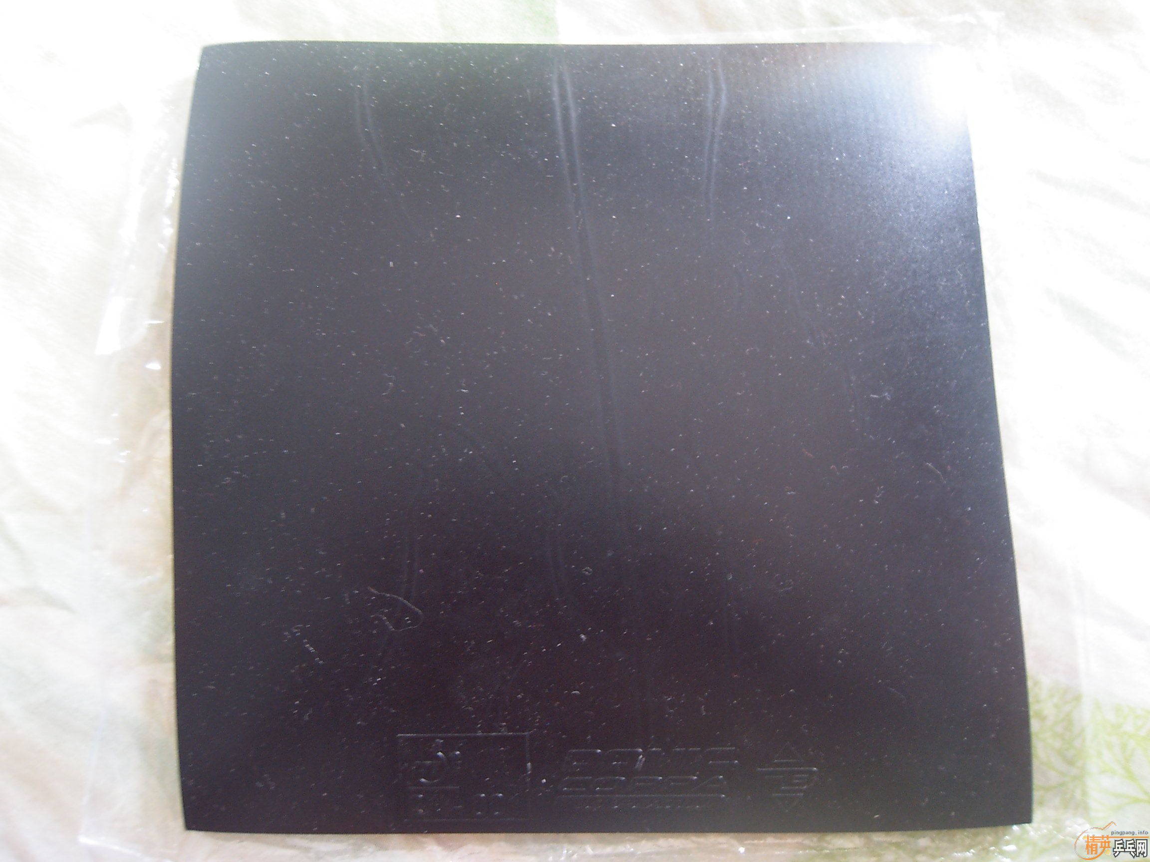 ��Ұ�æ������������׽������  лл