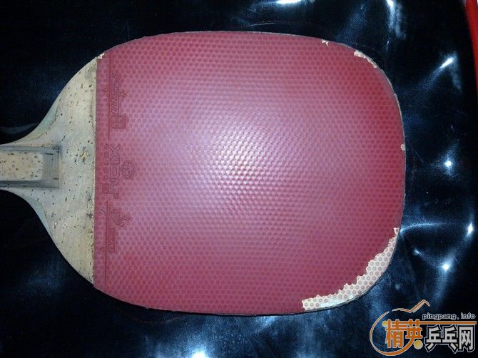 ���˳��������׽�����׽�