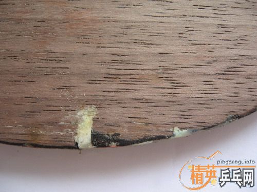 ���˵Ļ� ����̼��5.4����