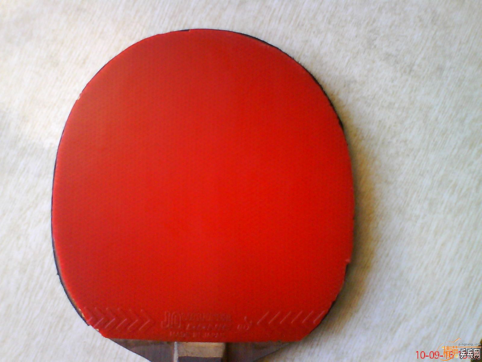 �������һ�Ͽ��׽�jo-waldner