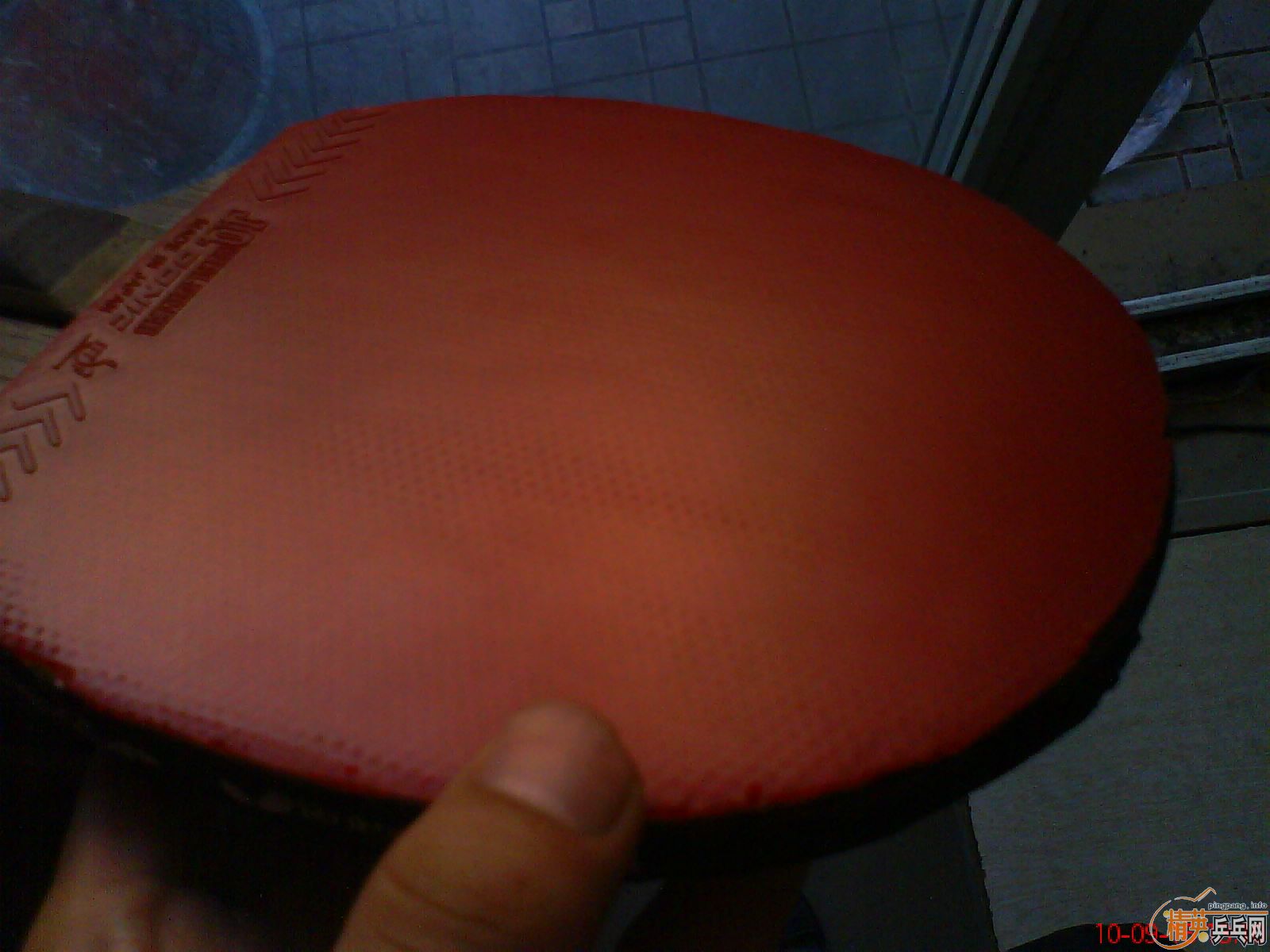 �������һ�Ͽ��׽�jo-waldner