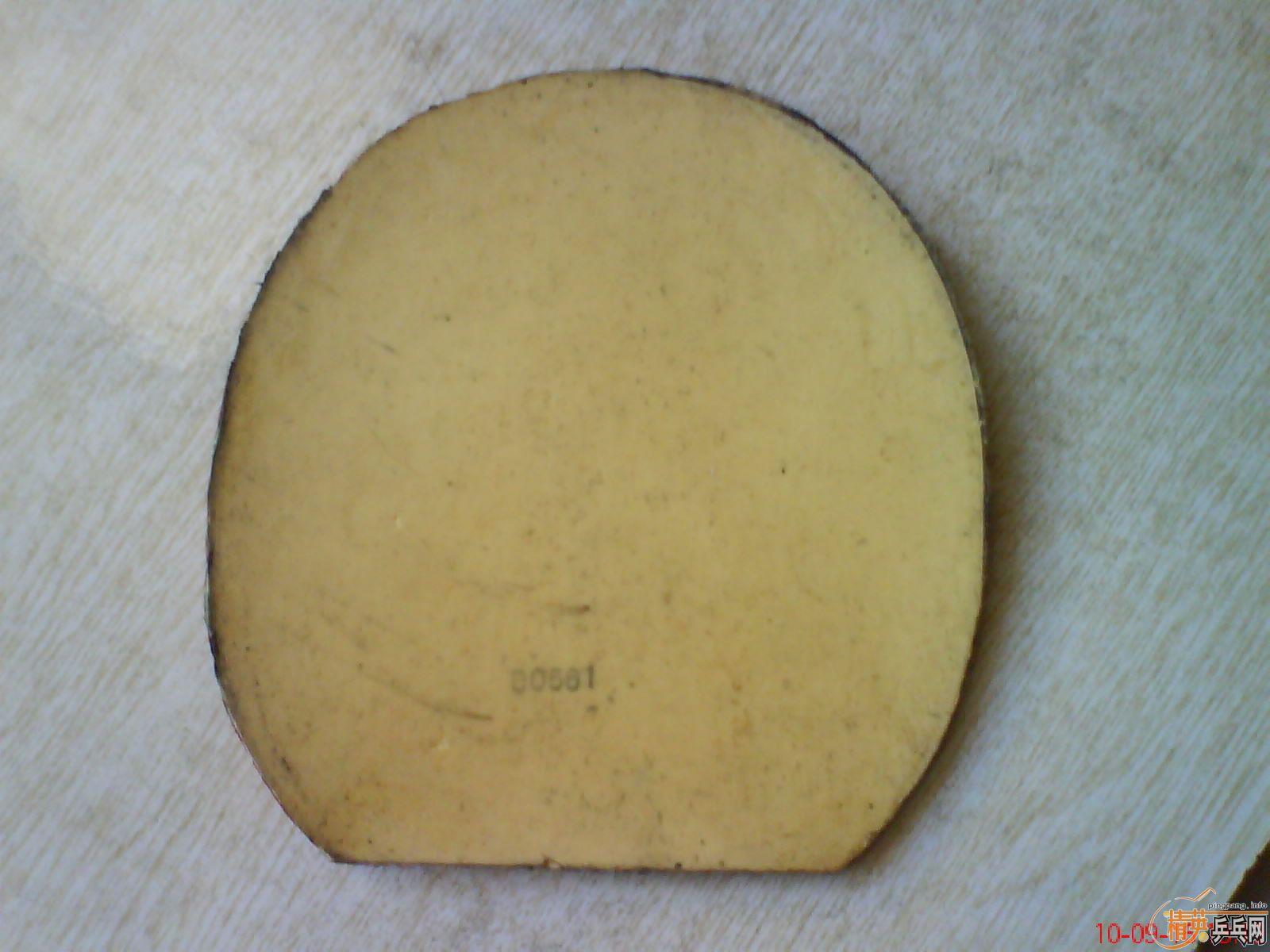 �������һ�Ͽ��׽�jo-waldner