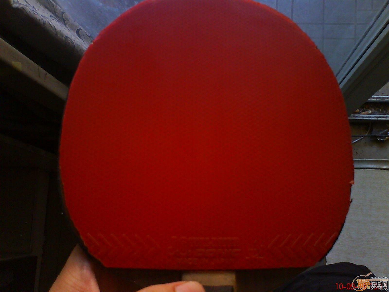 �������һ�Ͽ��׽�jo-waldner