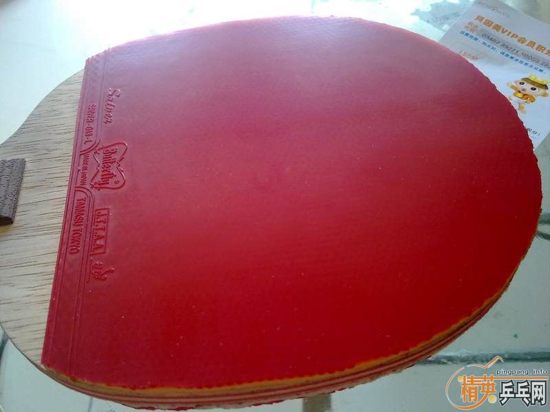 ���ϵ�˫����������ɫ�����ĺ����׽�.