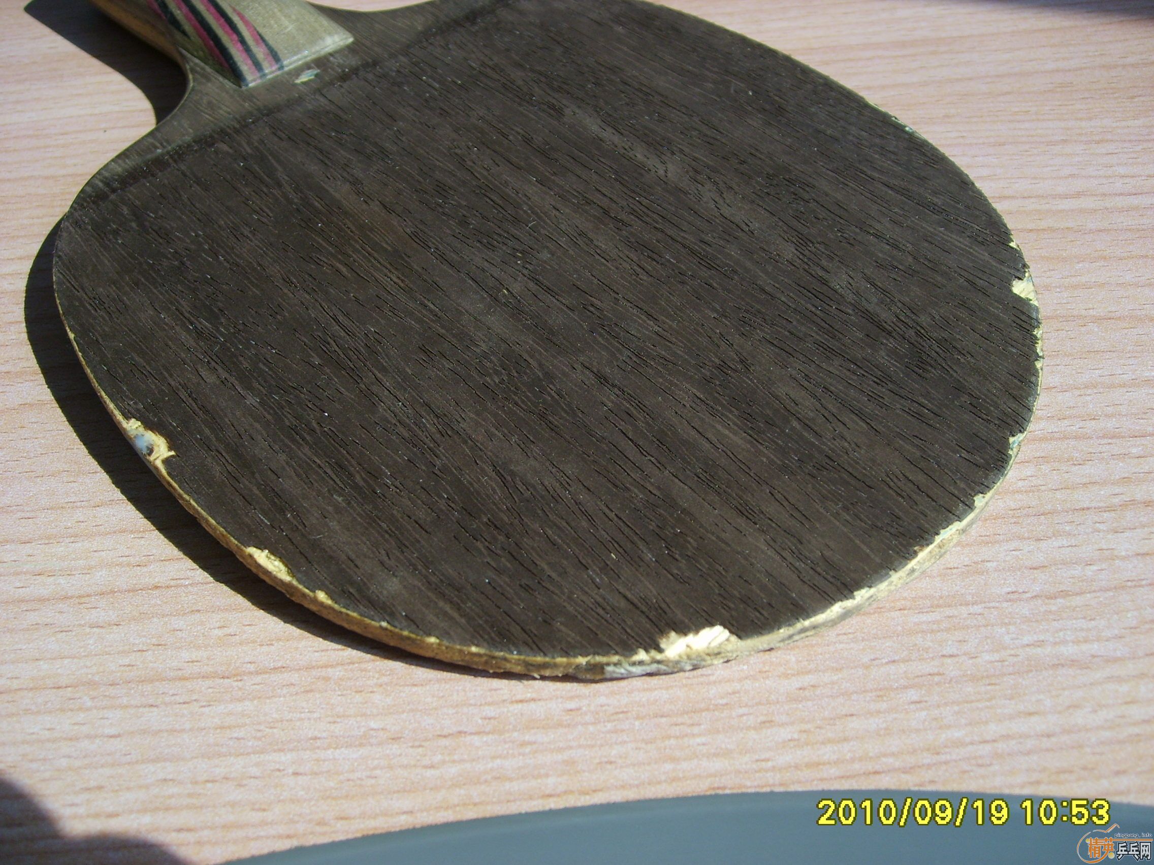 ����5.4ʵ�ı������ı���һ����̼һ֧