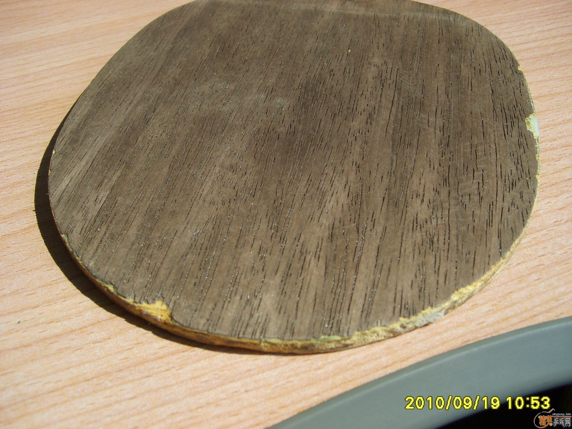 ����5.4ʵ�ı������ı���һ����̼һ֧