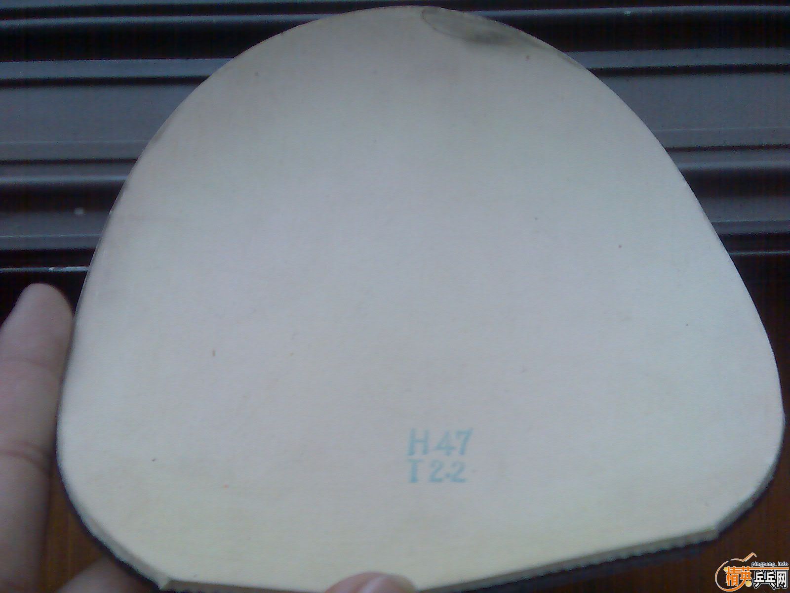 �ü��Ž�Ƥ ���˳�