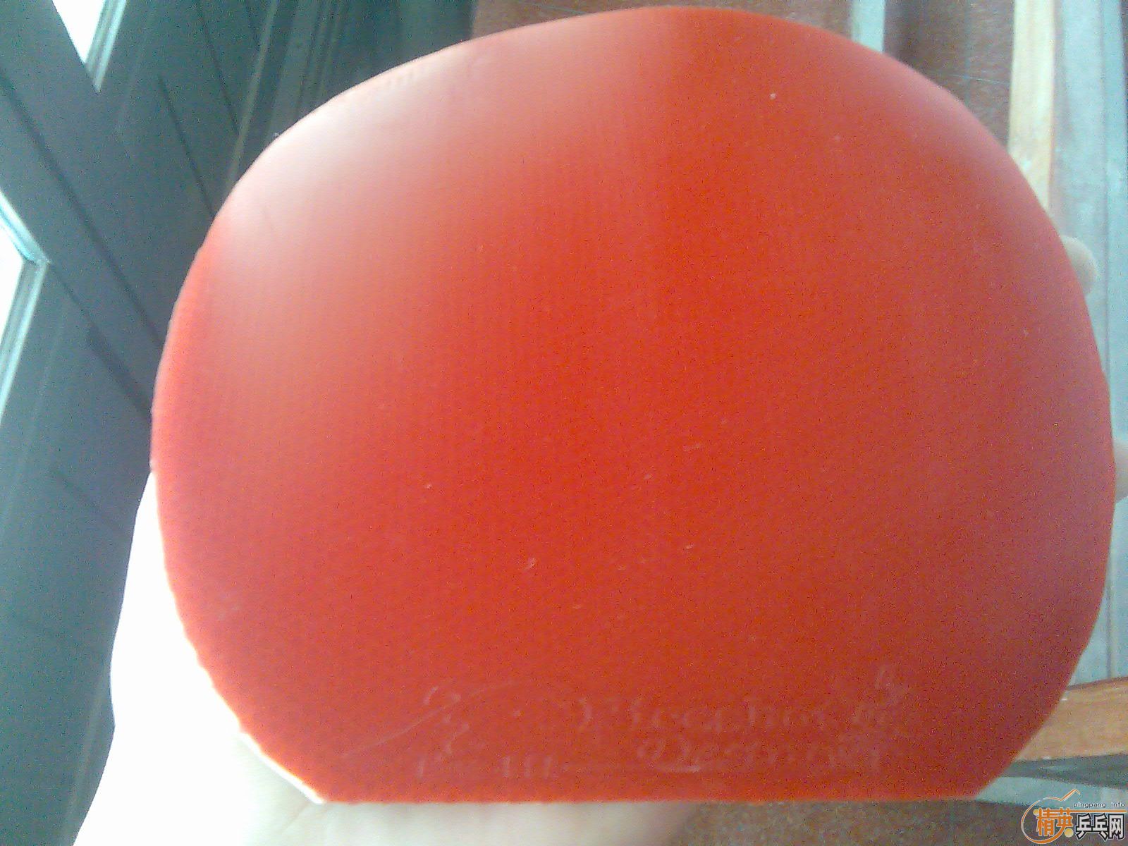 �ü��Ž�Ƥ ���˳�