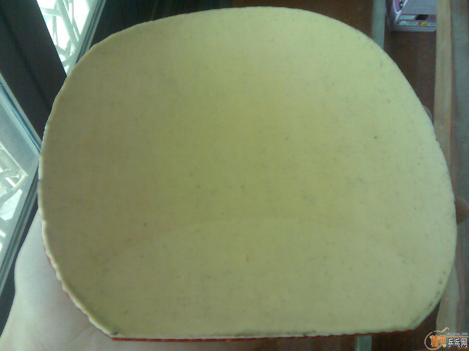 �ü��Ž�Ƥ ���˳�