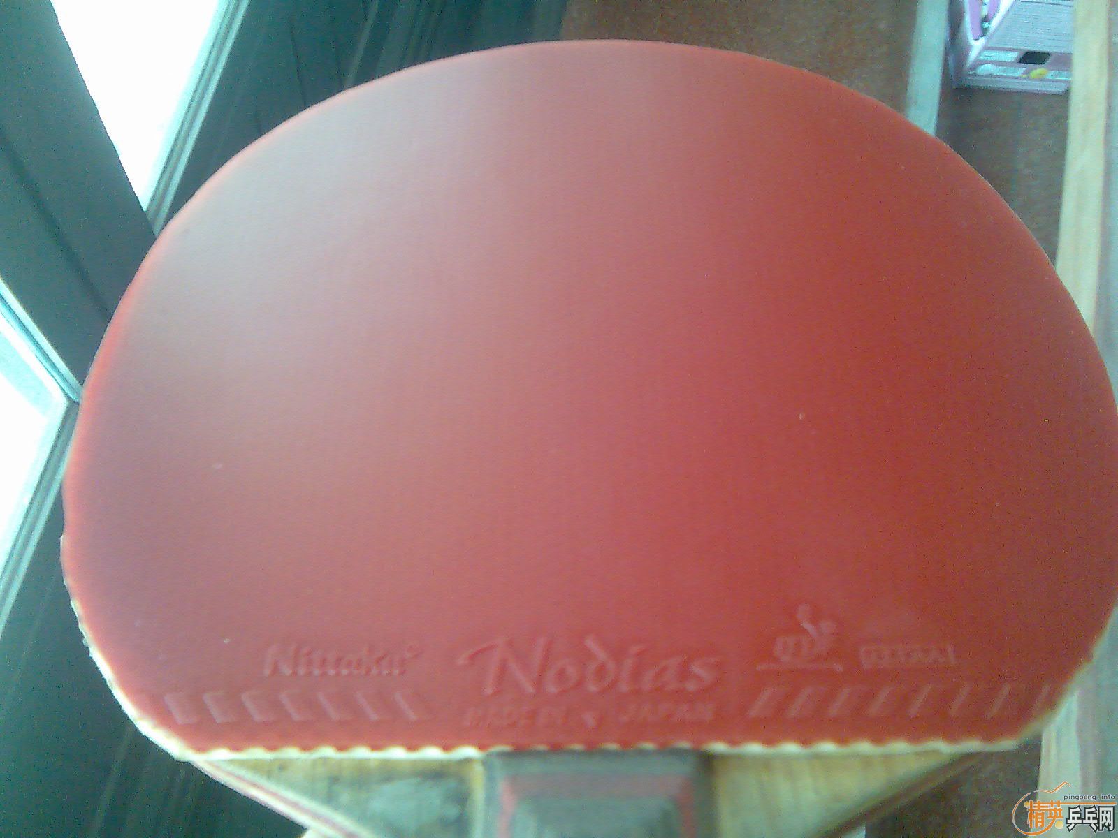 �ü��Ž�Ƥ ���˳�