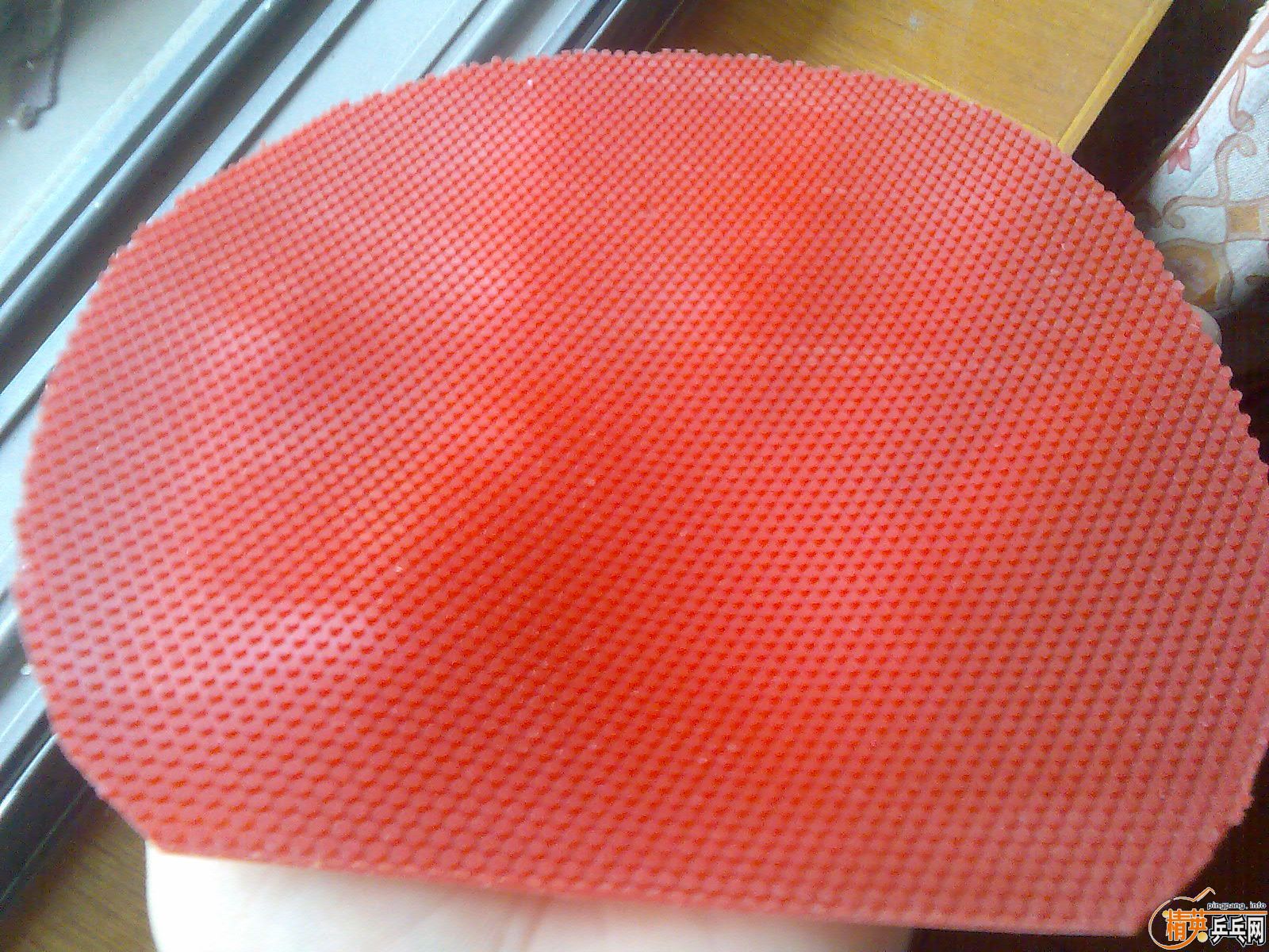 �ü��Ž�Ƥ ���˳�