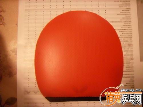 ���ѳ���CYPRESS MAX----��͢�ӵ���