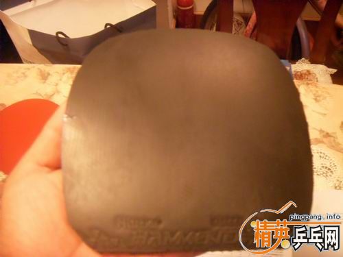 ���ѳ���CYPRESS MAX----��͢�ӵ���