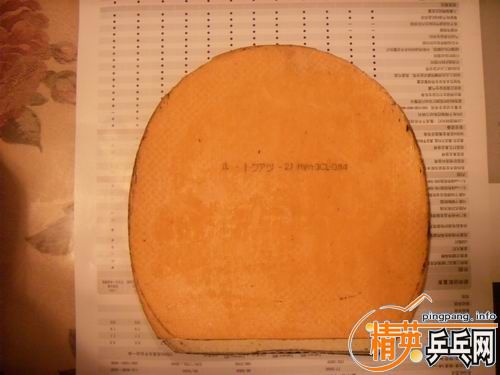 ���ѳ���CYPRESS MAX----��͢�ӵ���