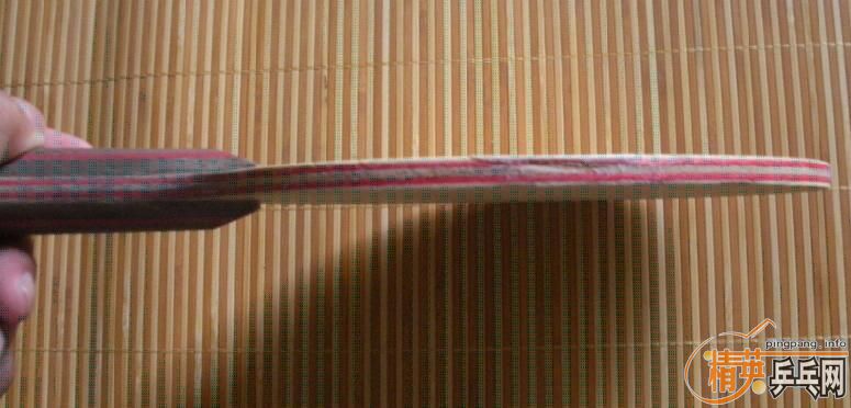 ���Ʊ�CL����VIVA