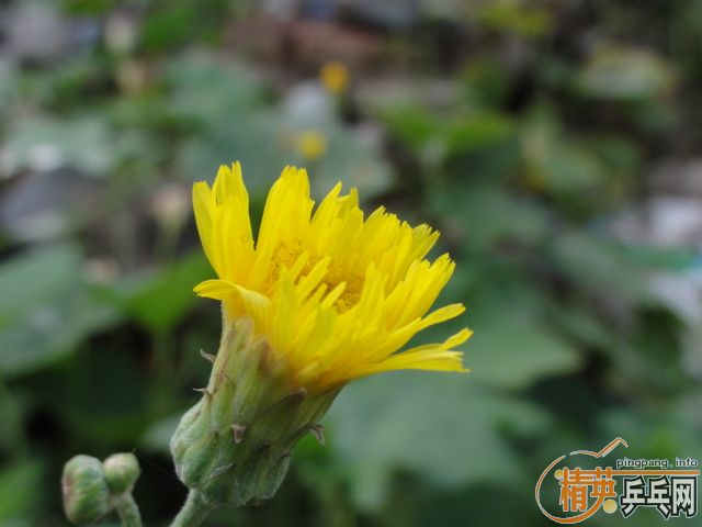 ��������ͼ�ˣ�����9�º��������������������룬���Ϻ�˫ϲ7�еװ�һ��340��˳��