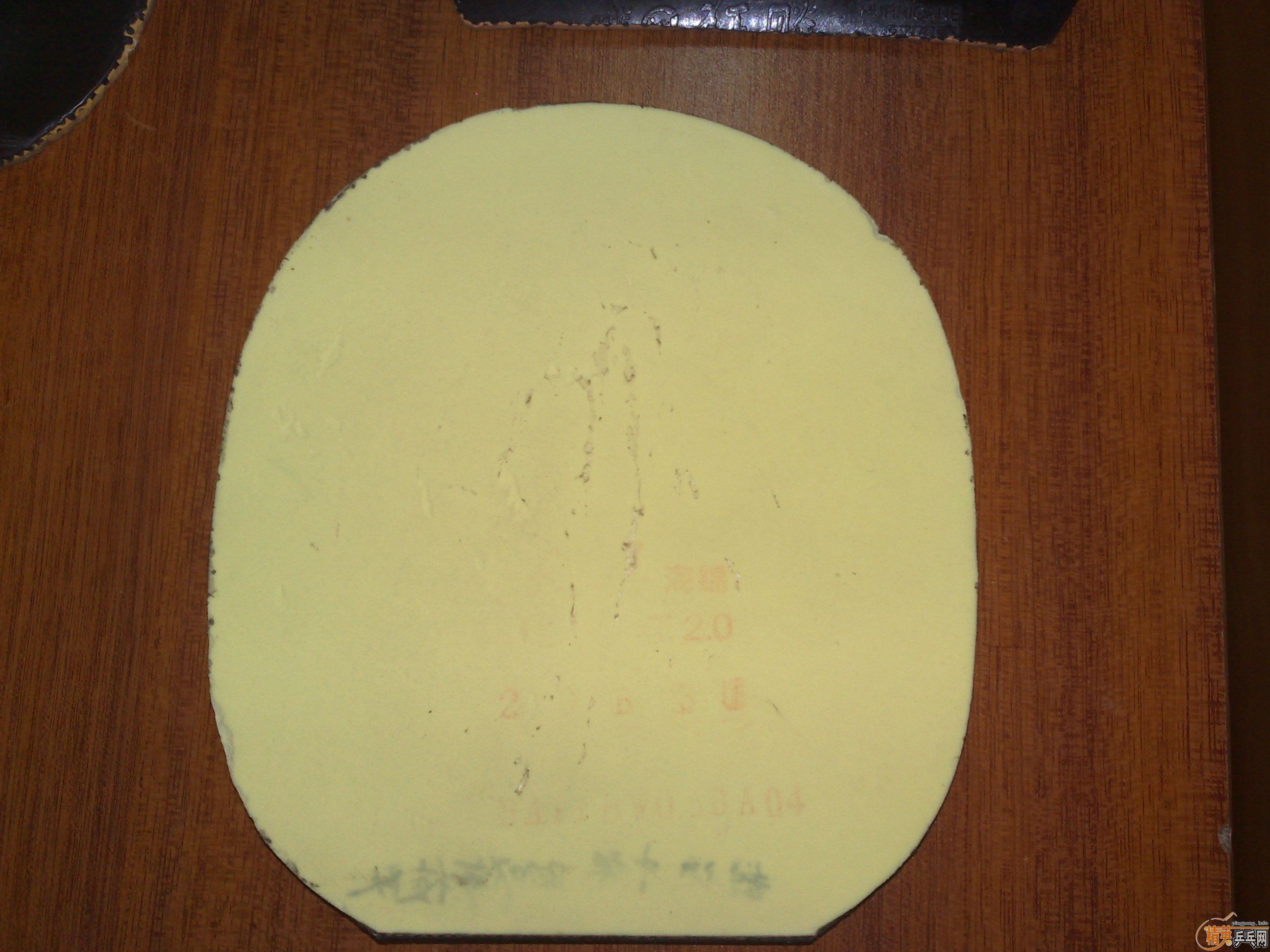 �����Ž�Ƥ  Ҳ���Ի� ���е��ƣ� ���